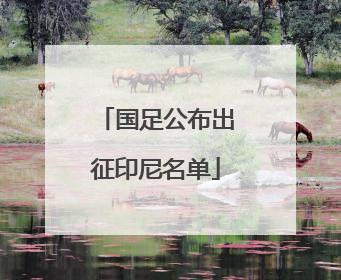 国足公布出征印尼名单