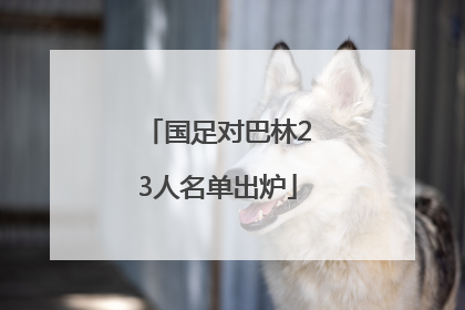 国足对巴林23人名单出炉