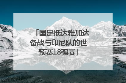 国足抵达雅加达备战与印尼队的世预赛18强赛