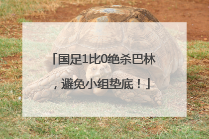 国足1比0绝杀巴林，避免小组垫底！