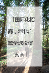 国际化招商，河北广邀全球投资客商