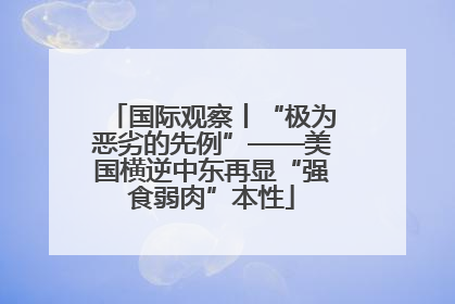 国际观察丨“极为恶劣的先例”——美国横逆中东再显“强食弱肉”本性