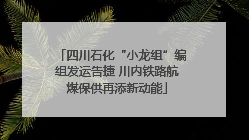 四川石化“小龙组”编组发运告捷 川内铁路航煤保供再添新动能