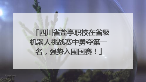四川省盐亭职校在省级机器人挑战赛中勇夺第一名，强势入围国赛！