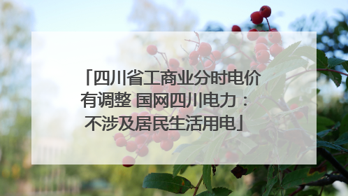 四川省工商业分时电价有调整 国网四川电力：不涉及居民生活用电