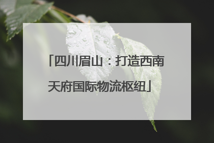 四川眉山：打造西南天府国际物流枢纽