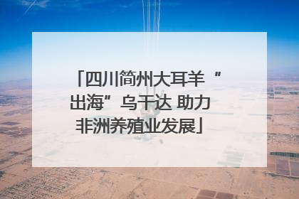 四川简州大耳羊“出海”乌干达 助力非洲养殖业发展