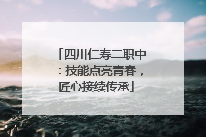 四川仁寿二职中：技能点亮青春，匠心接续传承