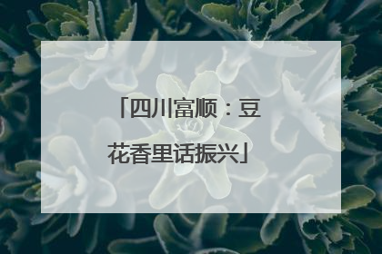四川富顺：豆花香里话振兴