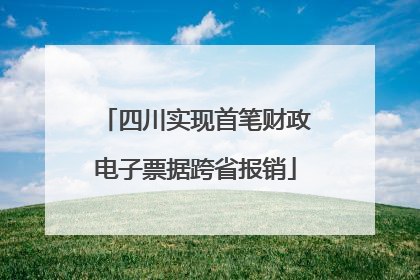 四川实现首笔财政电子票据跨省报销