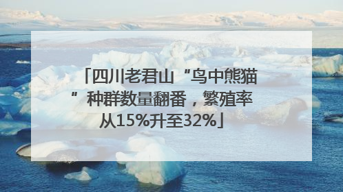 四川老君山“鸟中熊猫”种群数量翻番，繁殖率从15%升至32%