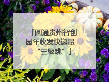 圆通贵州智创园年收发快递量“三级跳”