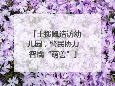 土拨鼠造访幼儿园，警民协力智擒“萌兽”