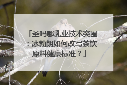 圣吗哪乳业技术突围：冰勃朗如何改写茶饮原料健康标准？