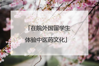 在皖外国留学生体验中医药文化