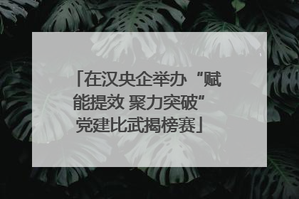 在汉央企举办“赋能提效 聚力突破”党建比武揭榜赛
