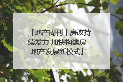 地产周刊丨房改持续发力 加快构建房地产发展新模式