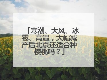 寒潮、大风、冰雹、高温，大幅减产后北京还适合种樱桃吗？