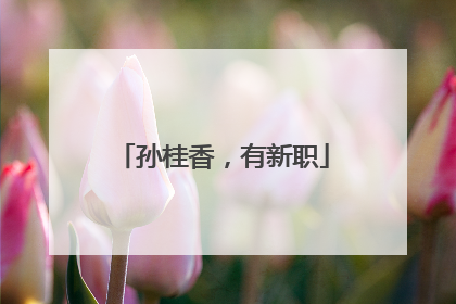 孙桂香，有新职