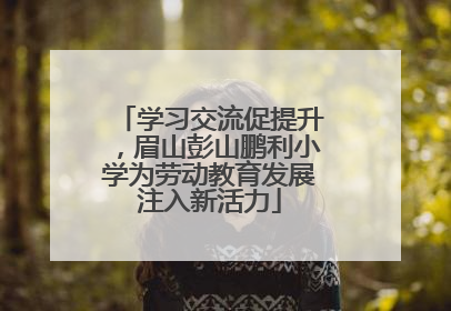 学习交流促提升，眉山彭山鹏利小学为劳动教育发展注入新活力