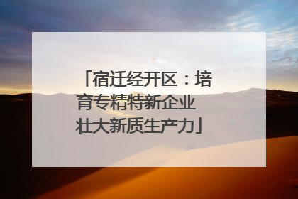 宿迁经开区：培育专精特新企业 壮大新质生产力