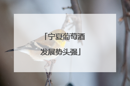 宁夏葡萄酒发展势头强
