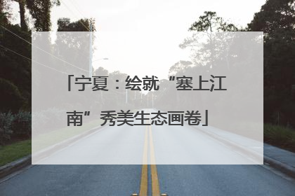 宁夏：绘就“塞上江南”秀美生态画卷