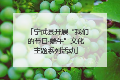 宁武县开展“我们的节日·端午”文化主题系列活动
