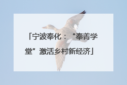 宁波奉化：“奉菁学堂”激活乡村新经济