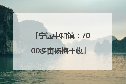宁远中和镇：7000多亩杨梅丰收