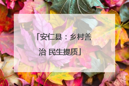 安仁县：乡村善治 民生提质