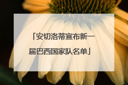 安切洛蒂宣布新一届巴西国家队名单