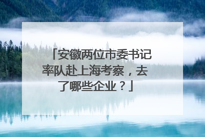 安徽两位市委书记率队赴上海考察，去了哪些企业？
