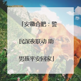 安徽合肥：警民深夜联动 助男孩平安回家