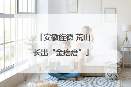 安徽旌德 荒山长出“金疙瘩”