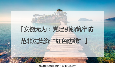 安徽无为：党建引领筑牢防范非法集资“红色防线”