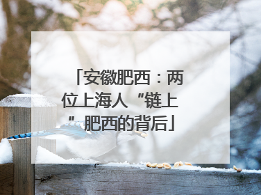 安徽肥西：两位上海人“链上”肥西的背后