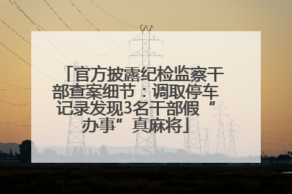 官方披露纪检监察干部查案细节：调取停车记录发现3名干部假“办事”真麻将