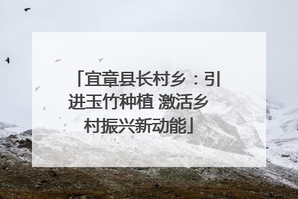 宜章县长村乡：引进玉竹种植 激活乡村振兴新动能