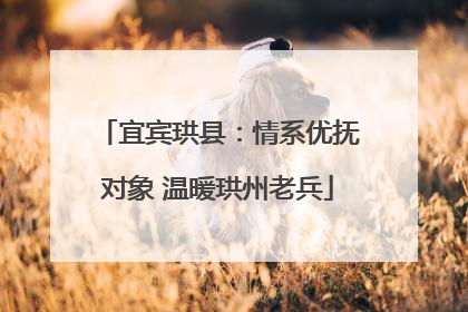 宜宾珙县：情系优抚对象 温暖珙州老兵