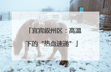 宜宾叙州区：高温下的“热血速递”