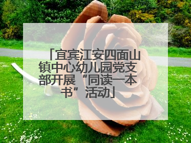 宜宾江安四面山镇中心幼儿园党支部开展“同读一本书”活动