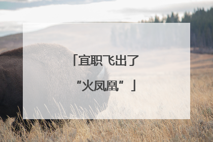 宜职飞出了“火凤凰”