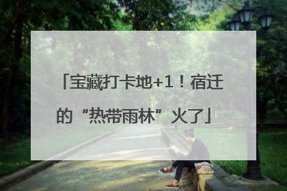 宝藏打卡地+1！宿迁的“热带雨林”火了