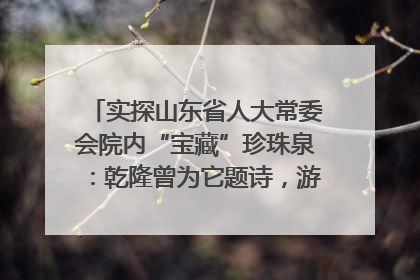 实探山东省人大常委会院内“宝藏”珍珠泉：乾隆曾为它题诗，游客无需预约免费游览