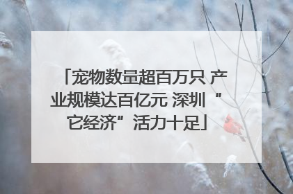 宠物数量超百万只 产业规模达百亿元 深圳“它经济”活力十足
