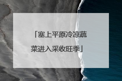 塞上平原冷凉蔬菜进入采收旺季