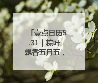 壹点日历5.31｜粽叶飘香五月五，浓情端午共安康！早安