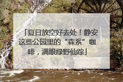 夏日放空好去处！静安这些公园里的“森系”咖啡，满眼绿野仙踪