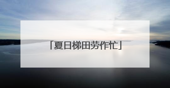 夏日梯田劳作忙